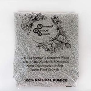 3 Gallon Bag Garden Pumice (3/16" Stone) 13lbs