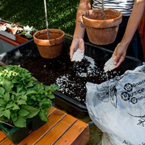 3 Gallon Bag Garden Pumice (3/16" Stone) 13lbs