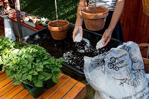 3 Gallon Bag Garden Pumice (3/16" Stone) 13lbs