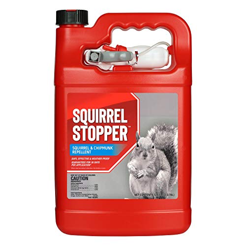 Messina Wildlife Squirrel Stopper - Effective, Food Grade Ingredients; Squirrels and Chipmunks; Ready to Use, 1 Gallon Liquid Refill Bottle