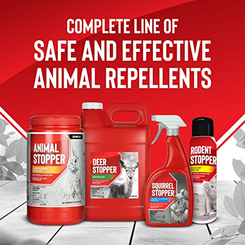 Messina Wildlife Squirrel Stopper - Effective, Food Grade Ingredients; Squirrels and Chipmunks; Ready to Use, 1 Gallon Liquid Refill Bottle