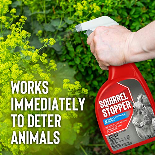 Messina Wildlife Squirrel Stopper - Effective, Food Grade Ingredients; Squirrels and Chipmunks; Ready to Use, 1 Gallon Liquid Refill Bottle