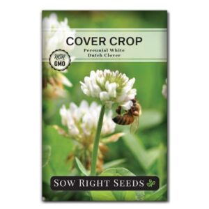 sow right seeds – white dutch clover seed for planting – cover crops to plant in your home garden – nitrogen fixer – clover seeds ground cover – non-gmo heirloom seeds – gardening gift