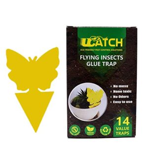 ucatch gnat sticky traps for plants – effective gnat traps for house indoor and outdoor garden with super sticky adhesive | yellow fruit fly trap for mosquitos, black flies, fungus gnats | pack of 14