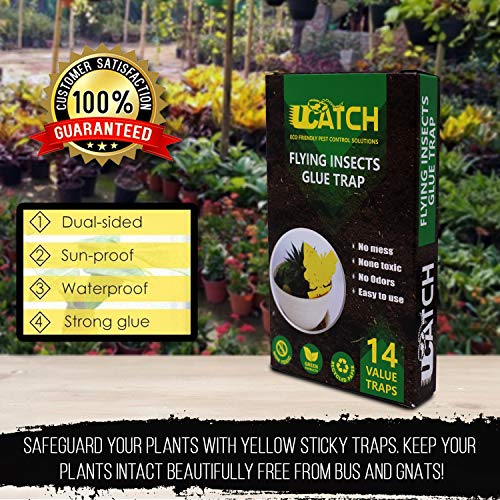 UCatch Gnat Sticky Traps for Plants - Effective Gnat Traps for House Indoor and Outdoor Garden with Super Sticky Adhesive | Yellow Fruit Fly Trap for Mosquitos, Black Flies, Fungus Gnats | Pack of 14