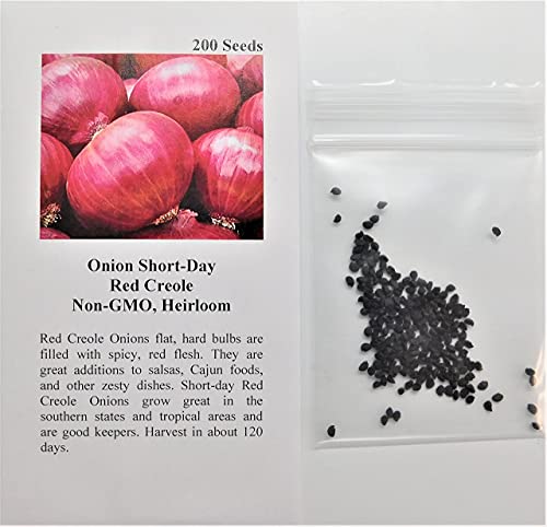 David's Garden Seeds Onion Short Day Red Creole 1213 (Red) 200 Non-GMO, Heirloom Seeds