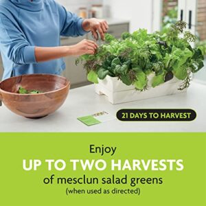 Miracle-Gro Garden to Go Mesclun Greens Mix - All-in-One Garden Kit