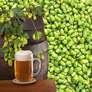 QAUZUY GARDEN 20 Hops Seeds Perennial Common Hop Humulus Lupulus Vine Seeds- Organic Non-GMO Seeds- Grow Fast Hardy Plant in Garden Home Yard Outdoor