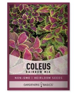 coleus seeds for planting (rainbow mix) – heirloom non-gmo shade plants seeds for home gardens, containers, hanging pots, decorative borders and more by gardeners basics
