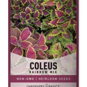 Coleus Seeds for Planting (Rainbow Mix) - Heirloom Non-GMO Shade Plants Seeds for Home Gardens, Containers, Hanging Pots, Decorative Borders and More by Gardeners Basics