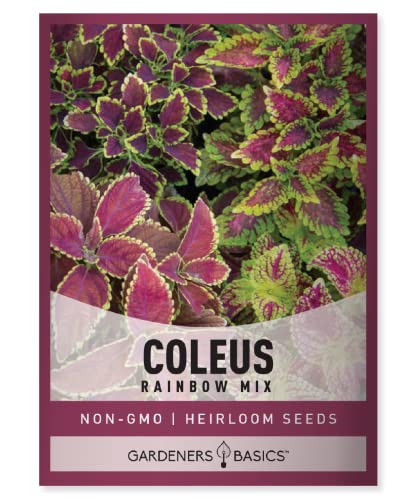 Coleus Seeds for Planting (Rainbow Mix) - Heirloom Non-GMO Shade Plants Seeds for Home Gardens, Containers, Hanging Pots, Decorative Borders and More by Gardeners Basics