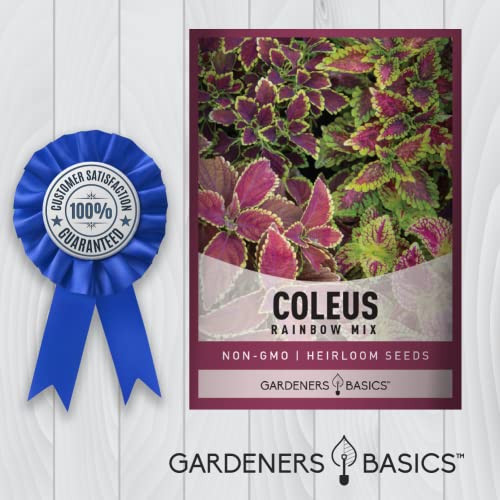 Coleus Seeds for Planting (Rainbow Mix) - Heirloom Non-GMO Shade Plants Seeds for Home Gardens, Containers, Hanging Pots, Decorative Borders and More by Gardeners Basics