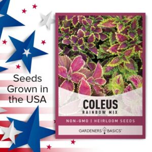 Coleus Seeds for Planting (Rainbow Mix) - Heirloom Non-GMO Shade Plants Seeds for Home Gardens, Containers, Hanging Pots, Decorative Borders and More by Gardeners Basics