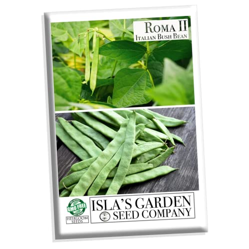 Roma II Italian Bush Bean Seeds for Planting, 30+ Heirloom Seeds Per Packet, (Isla's Garden Seeds), Non GMO Seeds, Botanical Name: Phaseolus vulgaris, Great Home Garden Gift