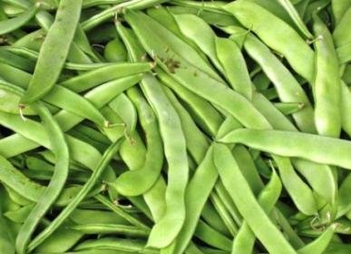 Roma II Italian Bush Bean Seeds for Planting, 30+ Heirloom Seeds Per Packet, (Isla's Garden Seeds), Non GMO Seeds, Botanical Name: Phaseolus vulgaris, Great Home Garden Gift