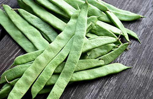 Roma II Italian Bush Bean Seeds for Planting, 30+ Heirloom Seeds Per Packet, (Isla's Garden Seeds), Non GMO Seeds, Botanical Name: Phaseolus vulgaris, Great Home Garden Gift