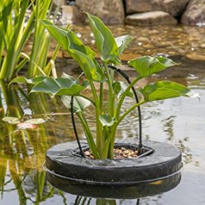 PondH2o 14" Round Floating Aquatic Water Garden Pond Planter Baskets, Floatable Aquatic Plant Flower Islands for Ponds and Water Features | Value 2 Pack