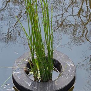 PondH2o 14" Round Floating Aquatic Water Garden Pond Planter Baskets, Floatable Aquatic Plant Flower Islands for Ponds and Water Features | Value 2 Pack