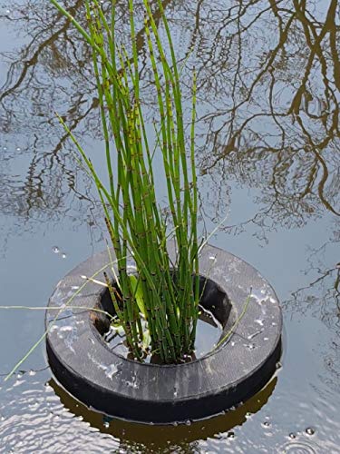 PondH2o 14" Round Floating Aquatic Water Garden Pond Planter Baskets, Floatable Aquatic Plant Flower Islands for Ponds and Water Features | Value 2 Pack