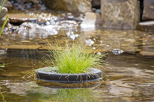 PondH2o 14" Round Floating Aquatic Water Garden Pond Planter Baskets, Floatable Aquatic Plant Flower Islands for Ponds and Water Features | Value 2 Pack