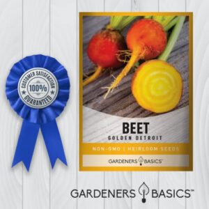 Beet Seeds for Planting Golden Detroit Heirloom Non-GMO Golden Beets Plant Seeds for Home Garden Vegetables Makes a Great Gift for Gardeners by Gardeners Basics