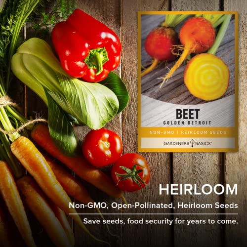 Beet Seeds for Planting Golden Detroit Heirloom Non-GMO Golden Beets Plant Seeds for Home Garden Vegetables Makes a Great Gift for Gardeners by Gardeners Basics