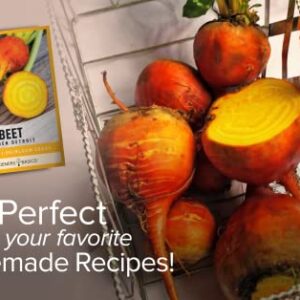 Beet Seeds for Planting Golden Detroit Heirloom Non-GMO Golden Beets Plant Seeds for Home Garden Vegetables Makes a Great Gift for Gardeners by Gardeners Basics