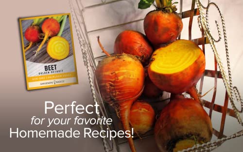 Beet Seeds for Planting Golden Detroit Heirloom Non-GMO Golden Beets Plant Seeds for Home Garden Vegetables Makes a Great Gift for Gardeners by Gardeners Basics
