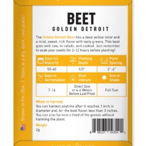 Beet Seeds for Planting Golden Detroit Heirloom Non-GMO Golden Beets Plant Seeds for Home Garden Vegetables Makes a Great Gift for Gardeners by Gardeners Basics