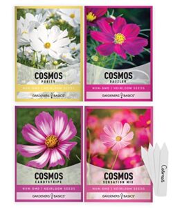cosmos seeds for planting outdoors flower seeds (4 variety pack) cosmos candystripe, sensation mix, dazzler, purity pink and white varieties for bees, pollinators wildflower seed by gardeners basics