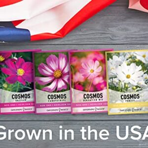 Cosmos Seeds for Planting Outdoors Flower Seeds (4 Variety Pack) Cosmos Candystripe, Sensation Mix, Dazzler, Purity Pink and White Varieties for Bees, Pollinators Wildflower Seed by Gardeners Basics