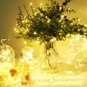 100 LED Fairy String Lights Battery Operated 8 Modes with 4 Timer Remote 33ft Silver Copper Wire Twinkle Starry Firefly Lights for Bedroom Patio Garden Christmas Wedding Decor(2 Pack Warm White)