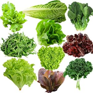 lindsay seed spring salad mix- 10 varieties of lettuce, spinach, kale, arugula 6000+ seeds non-gmo