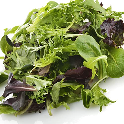 Lindsay Seed Spring Salad Mix- 10 Varieties of Lettuce, Spinach, Kale, Arugula 6000+ Seeds Non-GMO