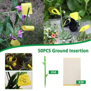 Fly Fruit Indoor Sticky Gnat Stakes Trap 50PCS Patio & Garden 2 Way Glue Broad