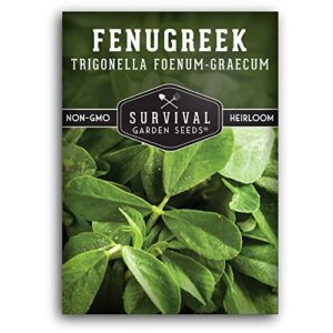 Survival Garden Seeds - Fenugreek Seed for Planting - Packet with Instructions to Plant & Grow Samudra Methi in Your Home Vegetable Garden - Non-GMO Heirloom Variety - Good Microgreens or Sprouts