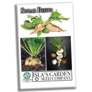 Sugar Beets, 100+ Heriloom Seeds Per Packet, (Isla's Garden Seeds), Non GMO Seeds, Botanical Name: Beta vulgaris subsp. vulgaris convar. vulgaris VAR. altissima