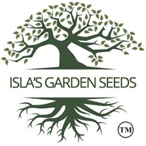 Sugar Beets, 100+ Heriloom Seeds Per Packet, (Isla's Garden Seeds), Non GMO Seeds, Botanical Name: Beta vulgaris subsp. vulgaris convar. vulgaris VAR. altissima