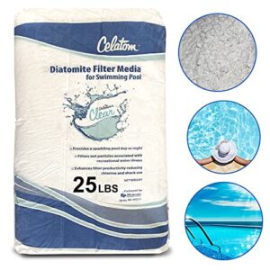 EasyGo Product Celatom Diatomaceous Earth DE Pool Filter Aid – Swimming Pool & Spa Filtration – - 25 Pounds