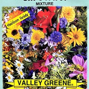 Set of 50 Cut Flower - Mixture Annual Flower Seed Packets - Perfect for Creating Your Dream Garden! - Includes 50 Packets of Cut Flower - Mixture Seeds!
