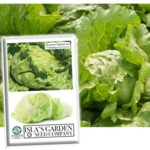 hanson improved crisphead lettuce seeds for planting, 1000+ heirloom seeds per packet, non gmo seeds, botanical name: lactuca sativa, great home garden gift