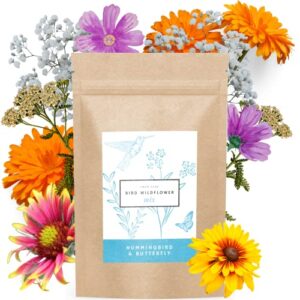 bird & butterfly wildflower pollinator mix – 65,000+ seeds perennial & annual flowers – planting outdoors for hummingbirds & more – calendula, yarrow, poppy, baby’s breath
