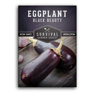survival garden seeds – black beauty eggplant seed for planting – packet with instructions to plant and grow purple aubergine plants in your home vegetable garden – non-gmo heirloom variety