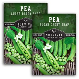 Survival Garden Seeds - Sugar Daddy Snap Pea Seed for Planting - 2 Packs with Instructions to Plant and Grow in Delicious Pea Pods Your Home Vegetable Garden - Non-GMO Heirloom Variety