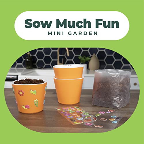 Window Garden Sow Much Fun Seed Starting, Vegetable Planting and Growing Kit for Kids, 3 Self Watering Planters, Soil, Seeds and Puffy Stickers. No Mess, Easy, Works Great! (Pumpkin)