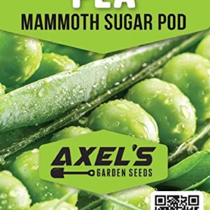 Bulk Pea Seeds for Planting - Grow Mammoth Snow Melting Sugar Pod Peas in Home Outdoor Garden - Non-GMO Heirloom with Instructions to Plant a Home Vegetable Garden (4 Ounces)