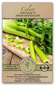 gaea’s blessing seeds – celery seeds – tall utah 52-70 heirloom non-gmo with easy to follow instructions 89% germination rate net wt. 1.25g