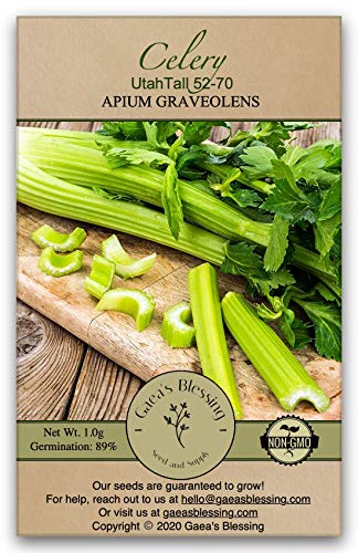 Gaea's Blessing Seeds - Celery Seeds - Tall Utah 52-70 Heirloom Non-GMO with Easy to Follow Instructions 89% Germination Rate Net Wt. 1.25g