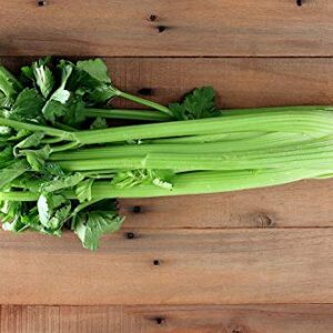 Gaea's Blessing Seeds - Celery Seeds - Tall Utah 52-70 Heirloom Non-GMO with Easy to Follow Instructions 89% Germination Rate Net Wt. 1.25g