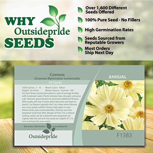 Outsidepride Cosmos Bipannatus Lemonade Yellow Cut Flower Garden Seeds - 50 Seeds
